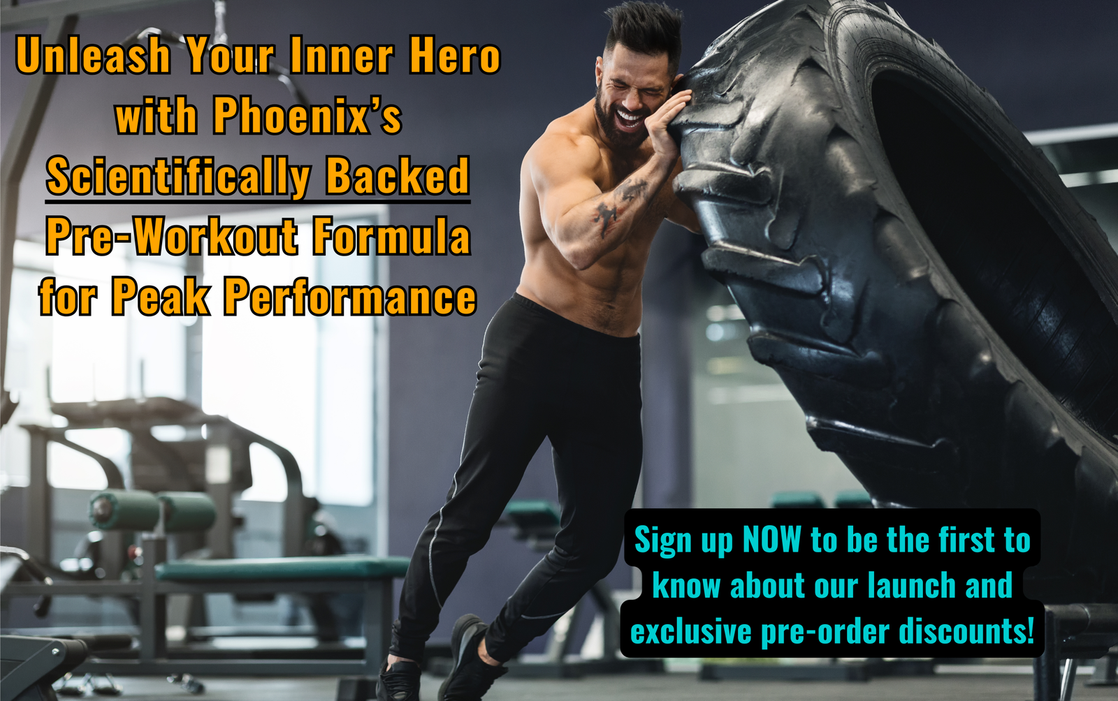 Unleash Your Inner Hero with Phoenix Performance (2) Unleash Your Inner Hero with Phoenix Performance (2)