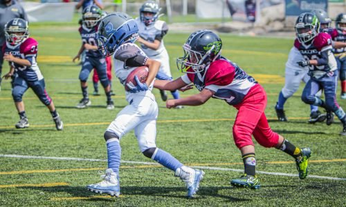 pexels-laura-romero-226641151-12436020