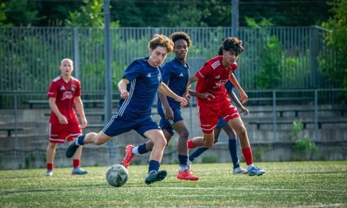 pexels-shan-huang-560952599-33206210